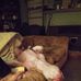 Brandon Hutton - Facebook