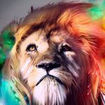 Brandon Jarrett - @bjarrett295 - Instagram