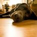 Brandon Jeffords - Facebook