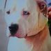 Branden Johnston - Facebook