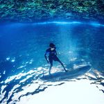 Brandon Johnston - @bwj_808 - Instagram