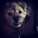 Brandon Joyner - @joynerbrandon062019 - Instagram