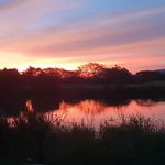 Brandon Keeling - @b.k._photothingys - Instagram