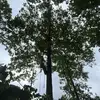 brandon - @brandon.skeens - TikTok