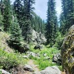 Brandon Keene - @bxkeene - Instagram