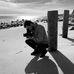 Brandon Keim - Facebook