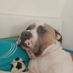 Brandon Kempf - @kempf.brandon - Instagram