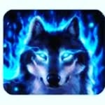 brandonklinkiewicz - @brandonklinkiewicz3011 - Instagram