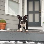 Brandon LaChance - @tuxthebully - Instagram