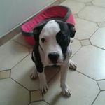 Brandon Delacourt - @brandondelacourt - Instagram