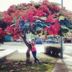 Brandon Lacy - @brandonlacy5139 - Instagram