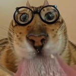 Brandon Langley - @brandon_langley1773 - Instagram