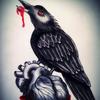 brandonlangley276 - @brandonlangley276 - TikTok