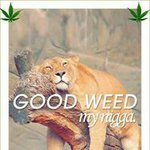Brandon Leeper - @leeper_the_reefer - Instagram