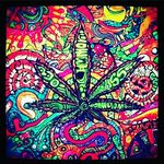 brandon leeper - @mr_green_leaf16 - Instagram