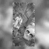 Brandon Jordan Levan - @brandonjordanleva - TikTok