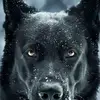 Brandon Little - @brandon.little5 - TikTok