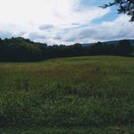 Brandon Littlejohn - @brandontinylittlejohn - Instagram