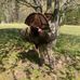 Brandon Littlejohn - Facebook