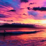 Brandon Litwiller - @tidepool_walking - Instagram