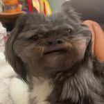 Brandon Liu - @epicy.0 - Instagram