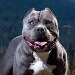 Brandon Lobo - Facebook