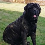 Brandonlockett - @brandonlockett2207 - Instagram