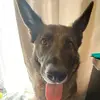 brandon_lockhart - @brandon_lockhart - TikTok