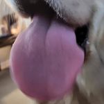 Brandon Loder - @spac3invad3rsss - Instagram