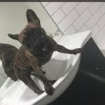 Brandon - @brandon_lodge - Instagram