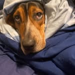 Brandon Loebs - @loebs_brandon - Instagram