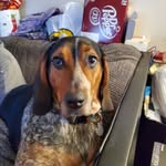 Brandon Loebs - @b_loebs - Instagram