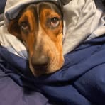 Brandon Loebs - Facebook