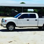 Brandon Loewen - @bamabrandon - Instagram