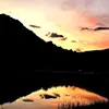 Brando's Adventure - @brandenloewen - TikTok
