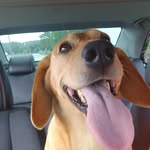 brandon Loftis - @brand.on200921 - Instagram