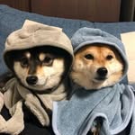 Brandon Loh - @_brandon0204 - Instagram