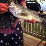 Brandon Lohman - @be_loh - Instagram