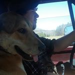 Brandon Lohr - @brandon.lohr.56 - Instagram