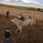 Brandon Longoria - @brandon.longoria.549 - Instagram