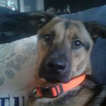 brandon lee loomis - @bman123564 - Instagram