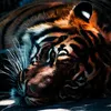 brandon loper - @brandonloper1 - TikTok