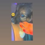 brandon los ama🐾 - @brandon_epnp - Instagram