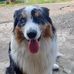 Brandon Luczak - Facebook