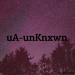 Brandon Lott - @ua.unknxwn - Instagram