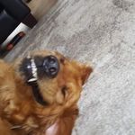 Brandon L - @brandon.lough.188 - Instagram