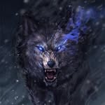 Brandon Loughry - @night_by_day_ - Instagram