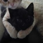 Brandon - @brandon_louie_ - Instagram