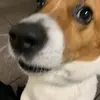 user1759801632609 - @brandon.louie_ - TikTok