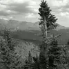 Brandon Lovato - @brandon.lovato - TikTok